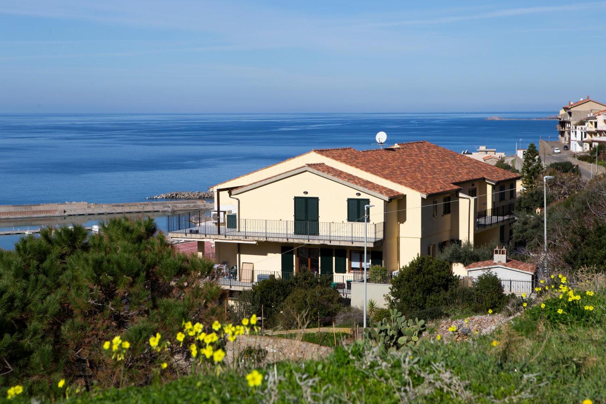 Blue Vista